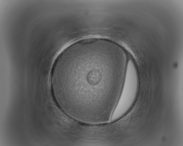 X0000095951173200801181416
