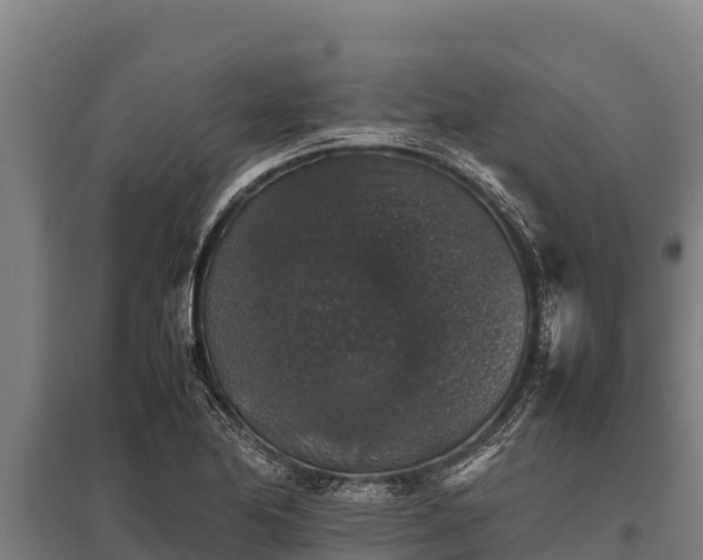 X0000095951174200801181416