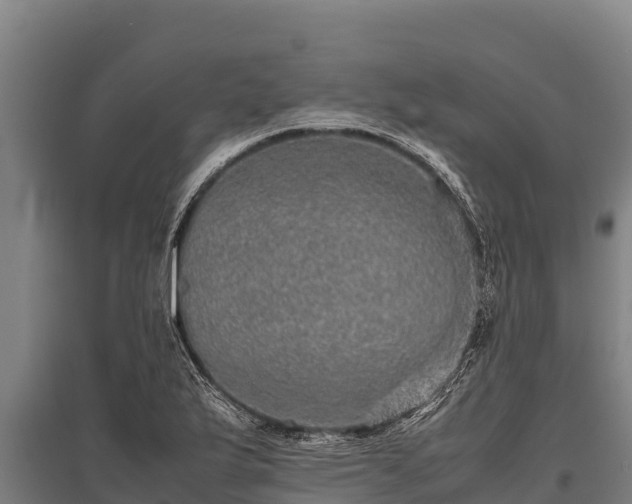 X0000095951175200801181416