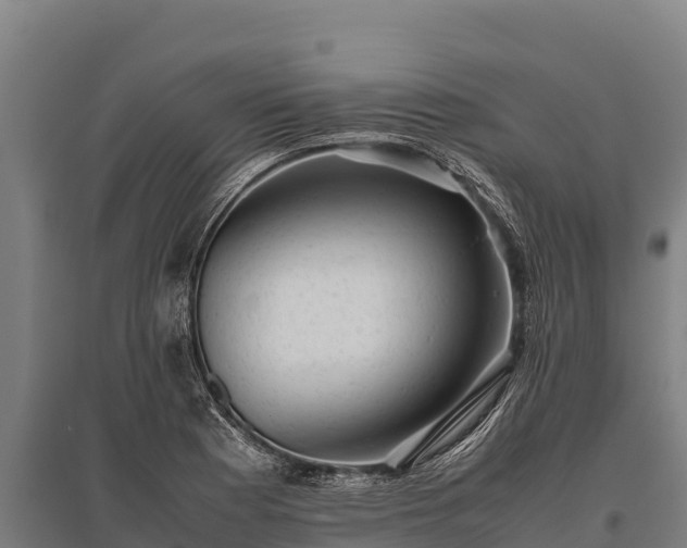 X0000095951177200801181416