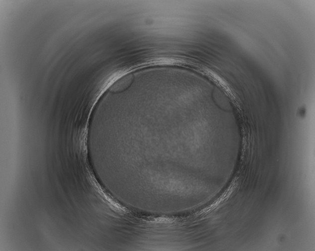 X0000095951178200801181416