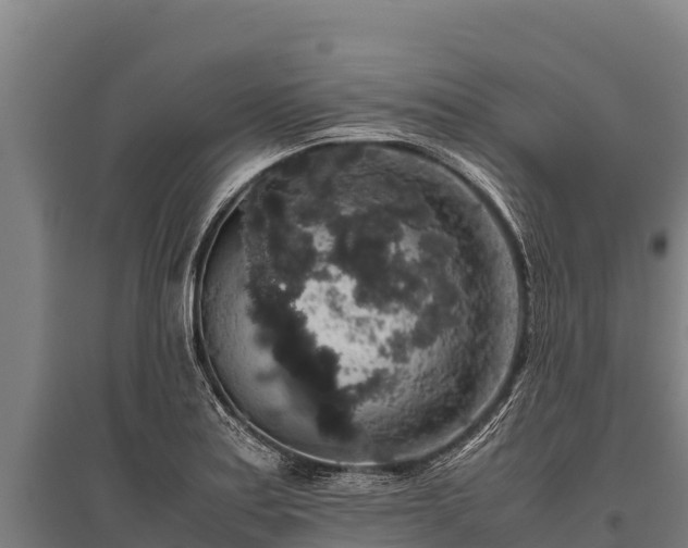 X0000095951179200801181416