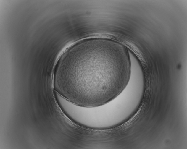X0000095951180200801181416