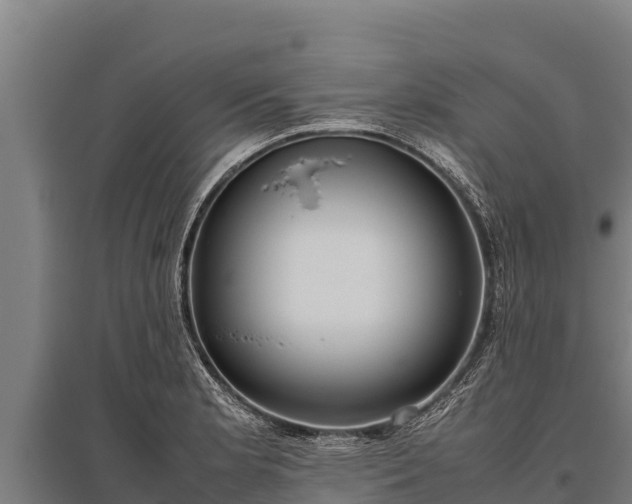 X0000095951181200801181416
