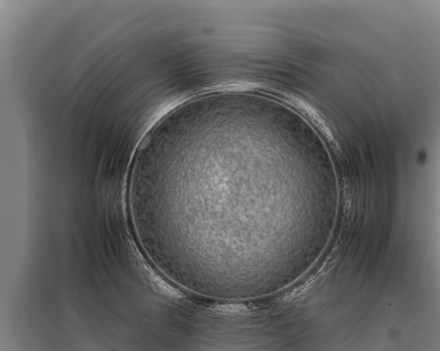 X0000095951186200801181416
