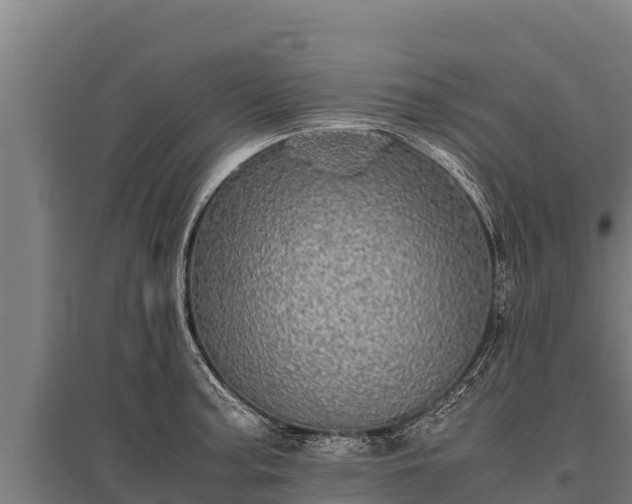 X0000095951187200801181416