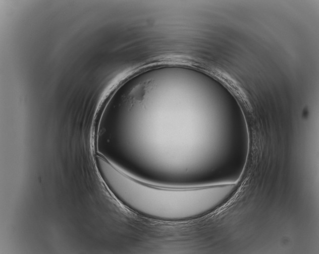 X0000095951188200801181416