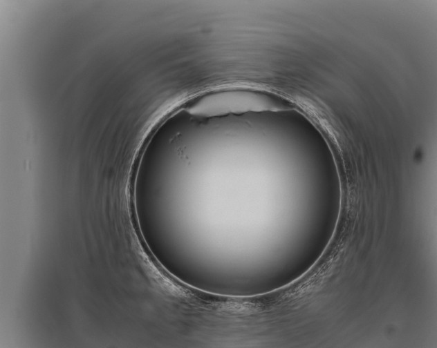 X0000095951189200801181416