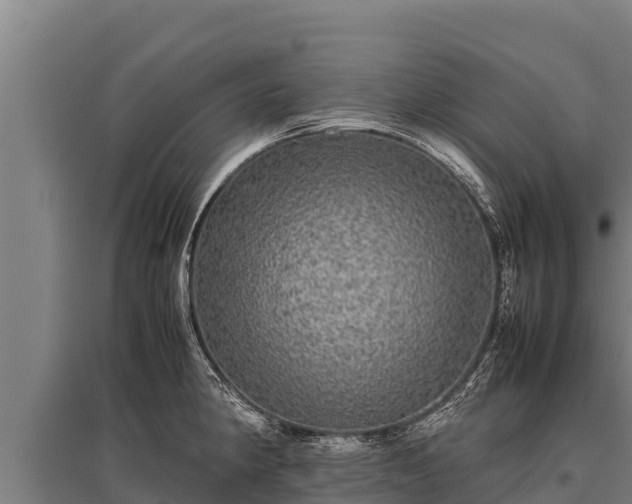 X0000095951190200801181416