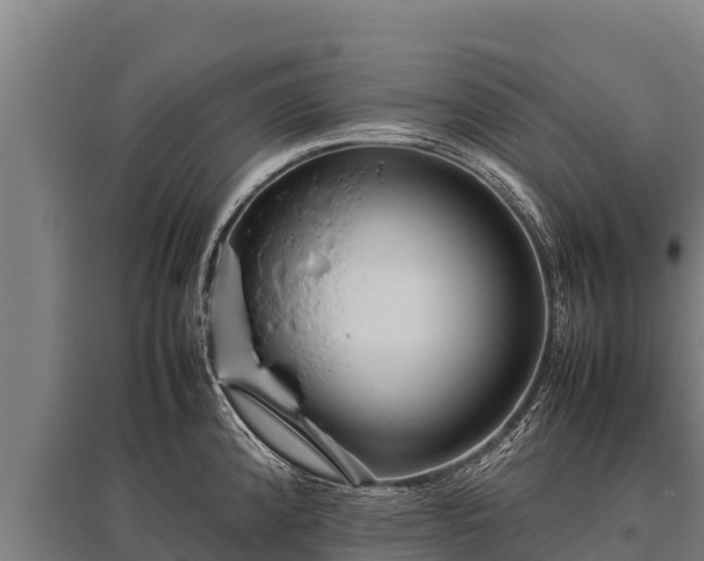 X0000095951192200801181416