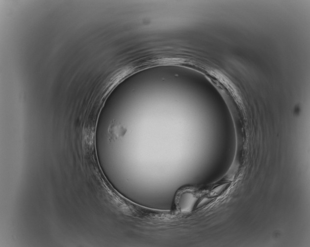 X0000095951193200801181416