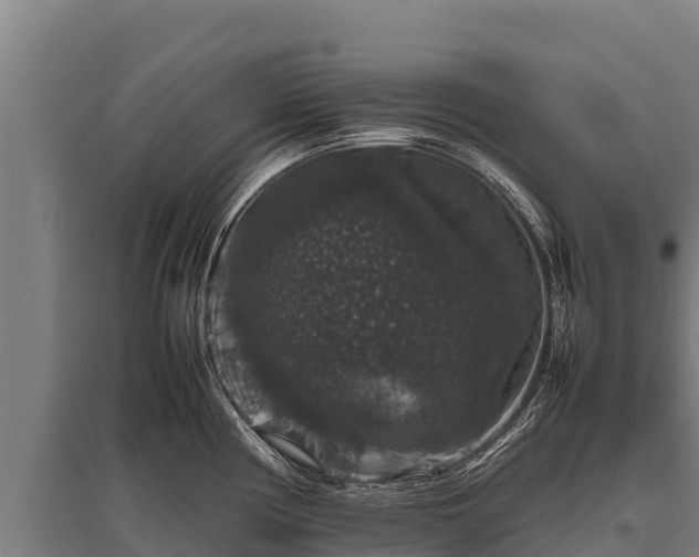 X0000095951194200801181416
