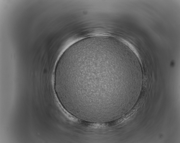 X0000095951195200801181416
