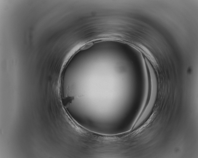 X0000095951196200801181416