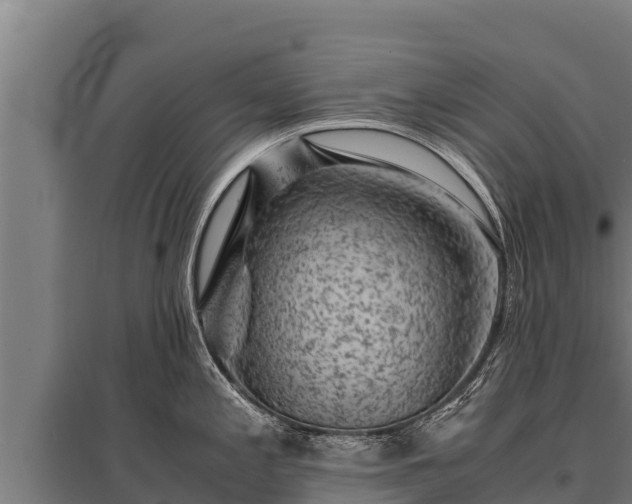 X0000095951197200801181416