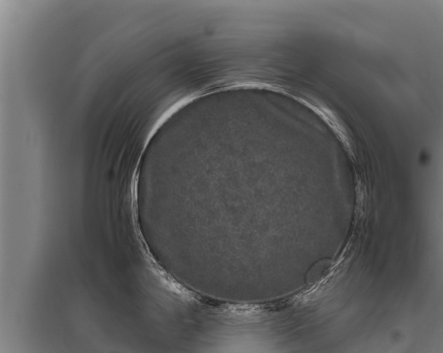 X0000095951198200801181416