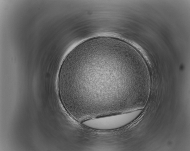 X0000095951199200801181416