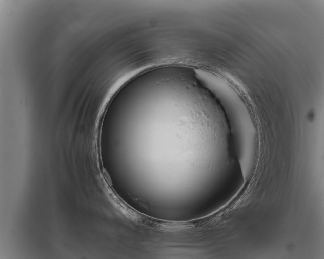 X0000095951200200801181415
