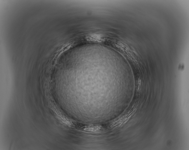 X0000095951201200801181415