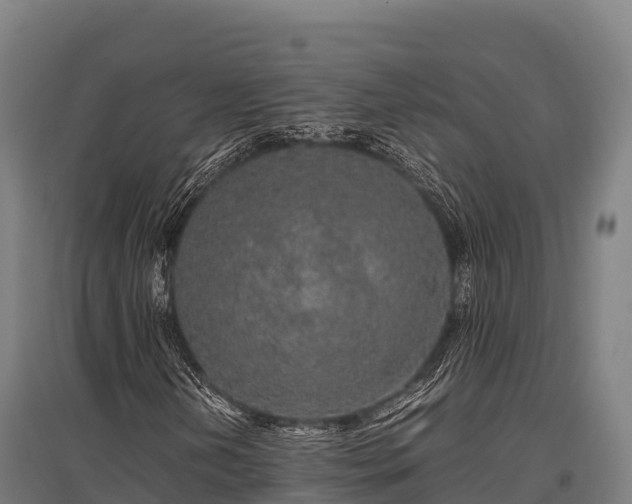 X0000095951202200801181415