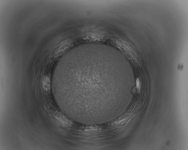 X0000095951203200801181415