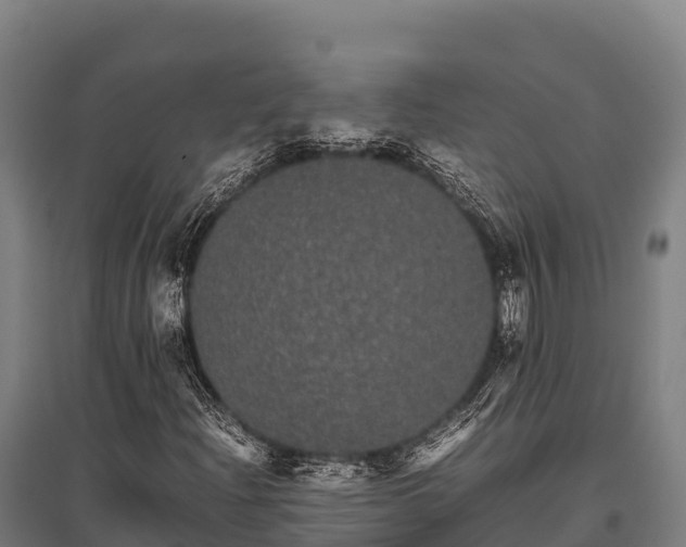 X0000095951204200801181415