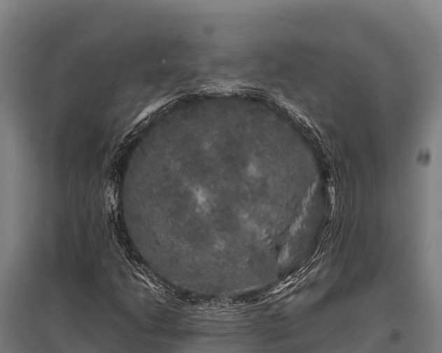 X0000095951206200801181415