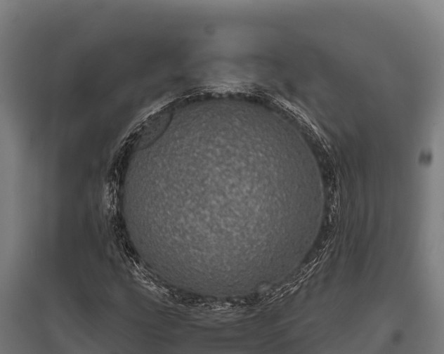 X0000095951207200801181415