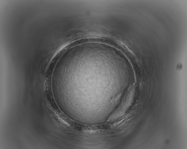 X0000095951208200801181415