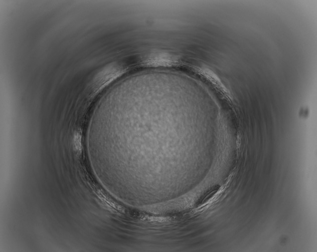 X0000095951209200801181415