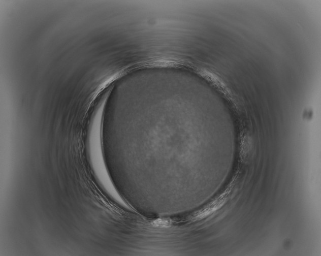 X0000095951210200801181415