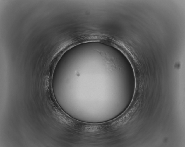 X0000095951211200801181415