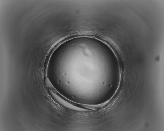 X0000095951212200801181415