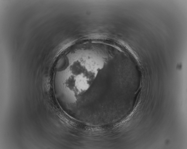 X0000095951213200801181415