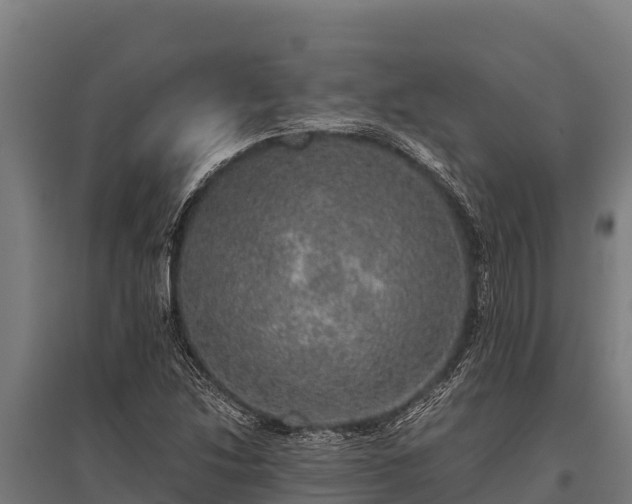 X0000095951214200801181415