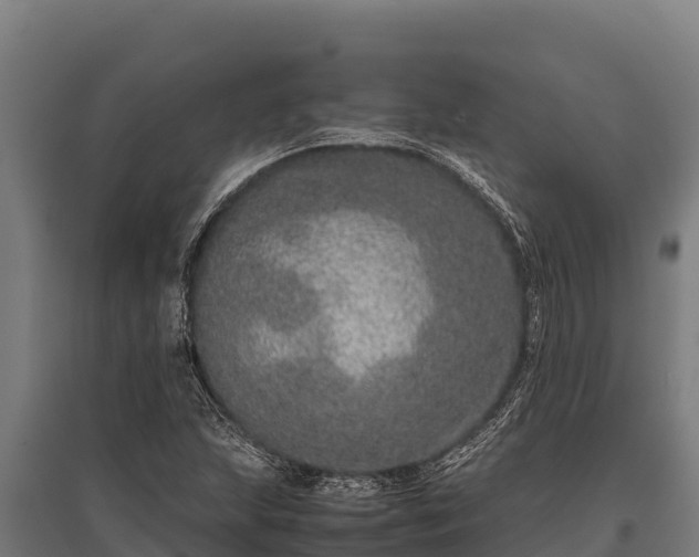 X0000095951215200801181415