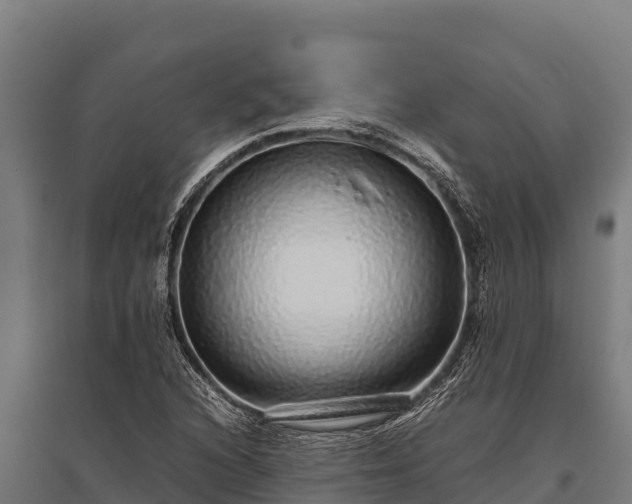 X0000095951216200801181415