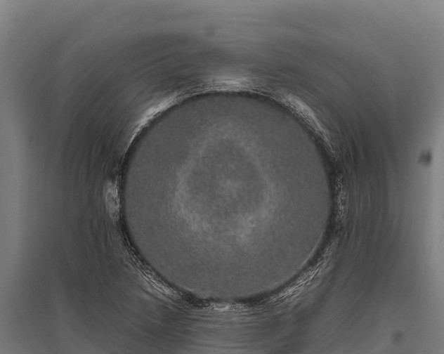 X0000095951218200801181415