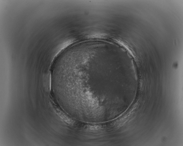 X0000095951219200801181415