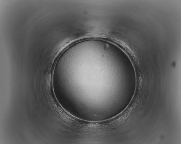 X0000095951220200801181415