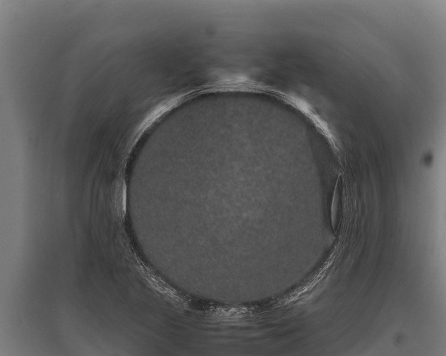 X0000095951221200801181415