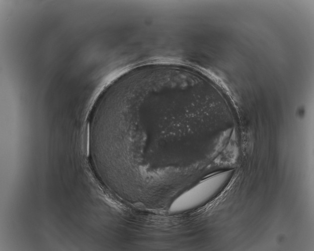 X0000095951223200801181415