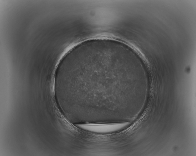 X0000095951224200801181415