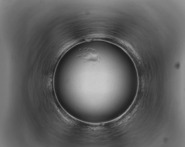 X0000095951225200801181415