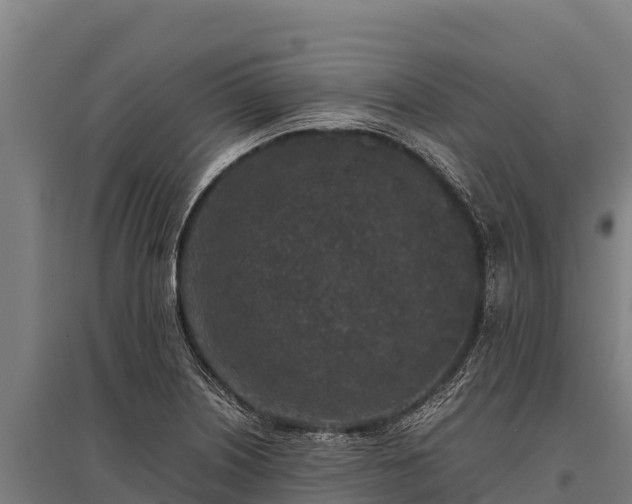 X0000095951226200801181415