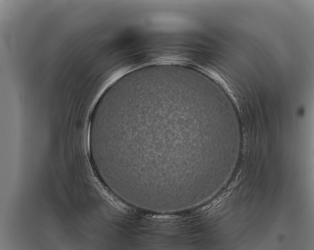 X0000095951227200801181415