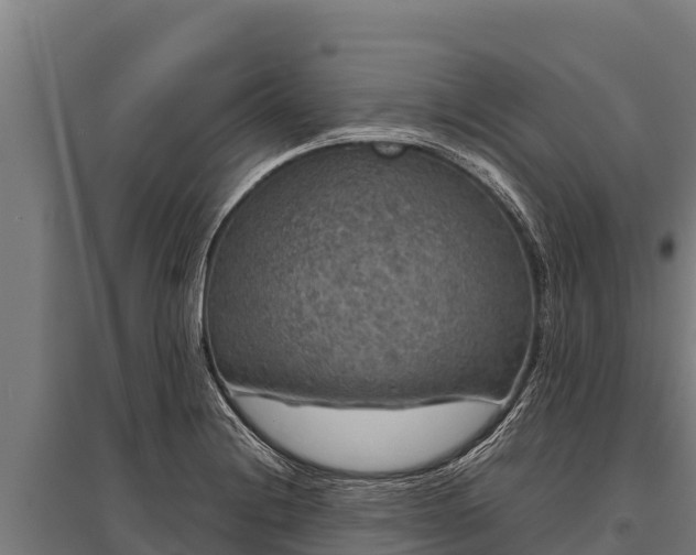 X0000095951228200801181415