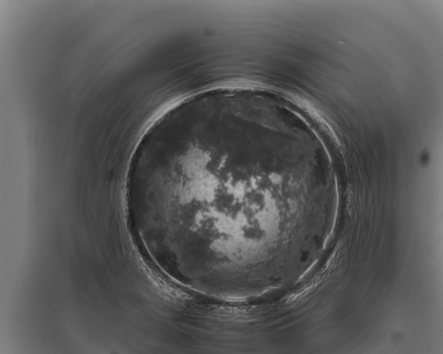 X0000095951229200801181415