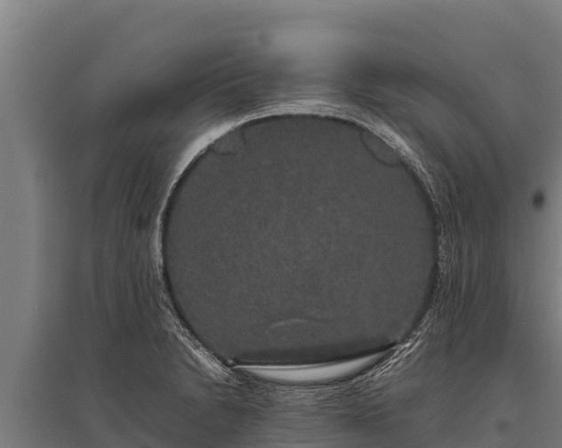 X0000095951230200801181415