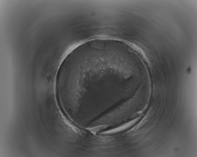 X0000095951231200801181415